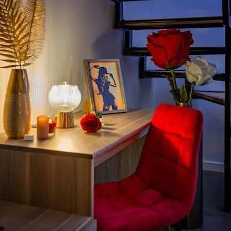 아파트 Duplex Coup De Coeur Bourgoin-Jallieu